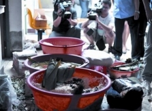 北京蔬菜大棚暗藏黑作坊 粽子泡在水泥池里