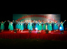 海南儋州那大镇举办首届客家美丽乡村元旦联谊晚会